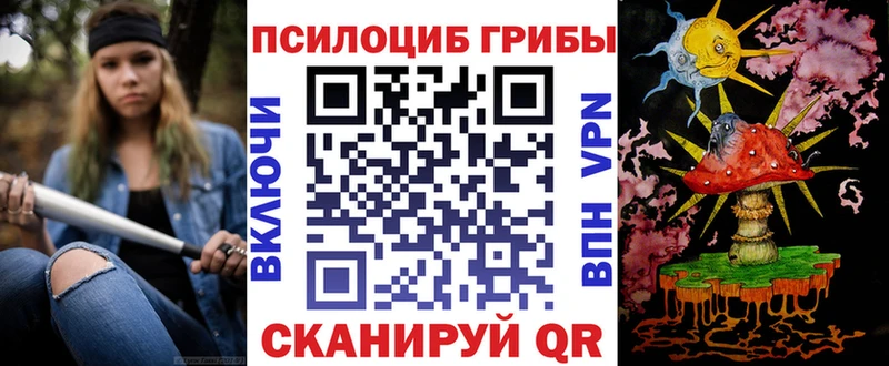 Купить  Кондопога  Псилоцибиновые грибы Cubensis 